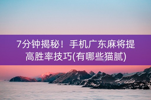 7分钟揭秘！手机广东麻将提高胜率技巧(有哪些猫腻)