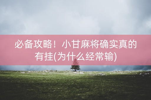 必备攻略！小甘麻将确实真的有挂(为什么经常输)