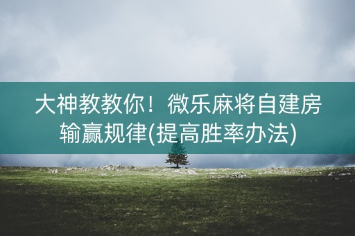 大神教教你！微乐麻将自建房输赢规律(提高胜率办法)