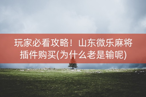 玩家必看攻略！山东微乐麻将插件购买(为什么老是输呢)