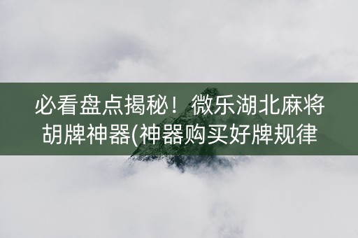必看盘点揭秘！微乐湖北麻将胡牌神器(神器购买好牌规律)
