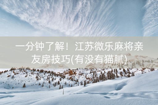 一分钟了解！江苏微乐麻将亲友房技巧(有没有猫腻)