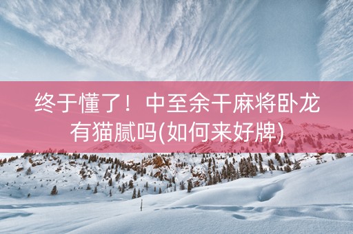 终于懂了！中至余干麻将卧龙有猫腻吗(如何来好牌)