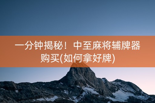 一分钟揭秘！中至麻将辅牌器购买(如何拿好牌)