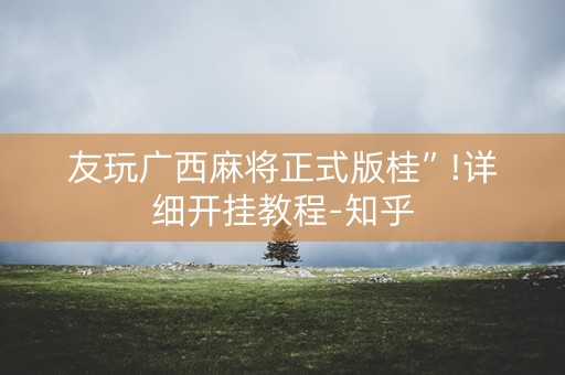 友玩广西麻将正式版桂”!详细开挂教程-知乎