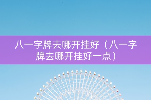 八一字牌去哪开挂好（八一字牌去哪开挂好一点）