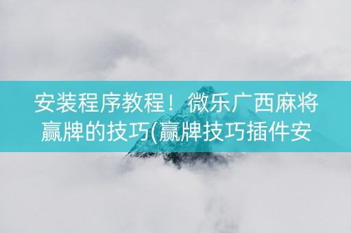 安装程序教程！微乐广西麻将赢牌的技巧(赢牌技巧插件安装)
