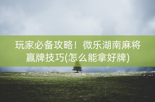 玩家必备攻略！微乐湖南麻将赢牌技巧(怎么能拿好牌)
