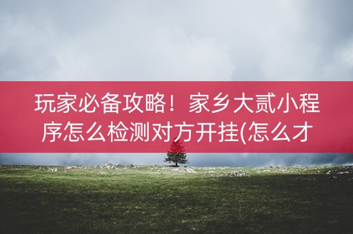 玩家必备攻略！家乡大贰小程序怎么检测对方开挂(怎么才能调胜率)