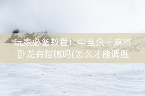 玩家必备教程！中至余干麻将卧龙有猫腻吗(怎么才能调胜率)