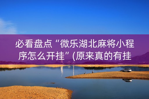 必看盘点“微乐湖北麻将小程序怎么开挂”(原来真的有挂)-知乎