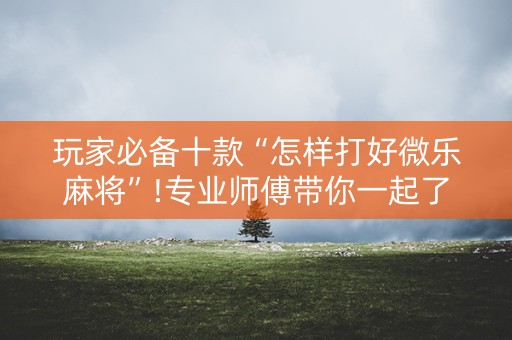 玩家必备十款“怎样打好微乐麻将”!专业师傅带你一起了解（详细教程）-知乎