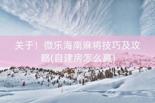 关于！微乐海南麻将技巧及攻略(自建房怎么赢)