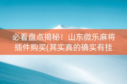 必看盘点揭秘！山东微乐麻将插件购买(其实真的确实有挂)