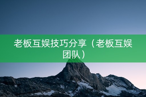 老板互娱技巧分享（老板互娱团队）