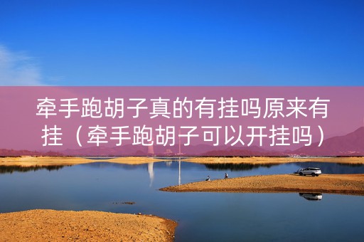 牵手跑胡子真的有挂吗原来有挂（牵手跑胡子可以开挂吗）