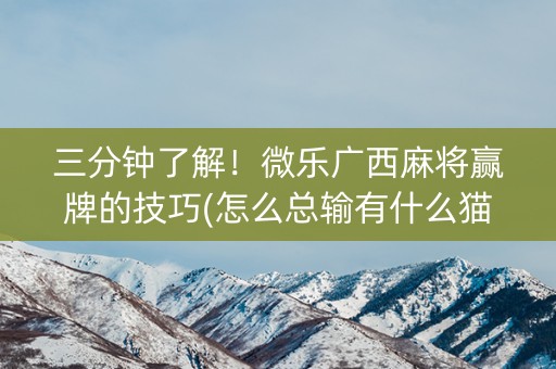 三分钟了解！微乐广西麻将赢牌的技巧(怎么总输有什么猫腻)
