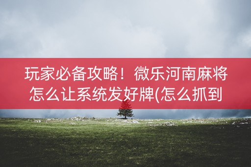玩家必备攻略！微乐河南麻将怎么让系统发好牌(怎么抓到好牌)
