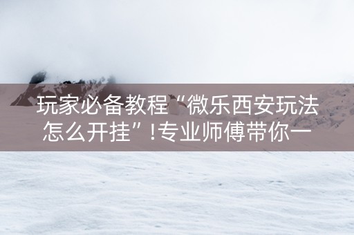 玩家必备教程“微乐西安玩法怎么开挂”!专业师傅带你一起了解（详细教程）-知乎
