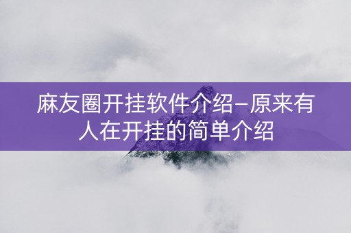 麻友圈开挂软件介绍—原来有人在开挂的简单介绍