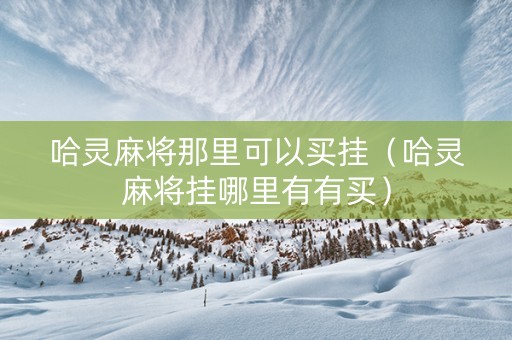 哈灵麻将那里可以买挂（哈灵麻将挂哪里有有买）