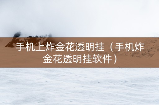 手机上炸金花透明挂（手机炸金花透明挂软件）