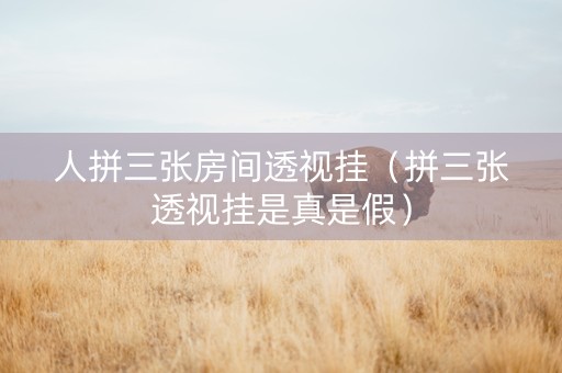 人拼三张房间透视挂（拼三张透视挂是真是假）
