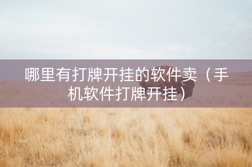 哪里有打牌开挂的软件卖（手机软件打牌开挂）
