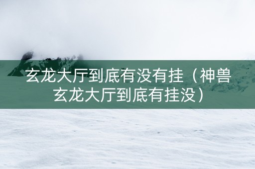 玄龙大厅到底有没有挂（神兽玄龙大厅到底有挂没）