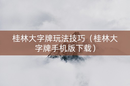 桂林大字牌玩法技巧（桂林大字牌手机版下载）