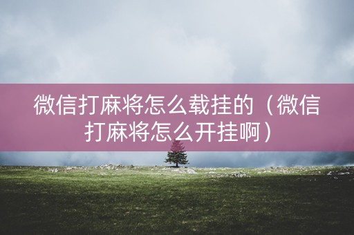 微信打麻将怎么载挂的（微信打麻将怎么开挂啊）