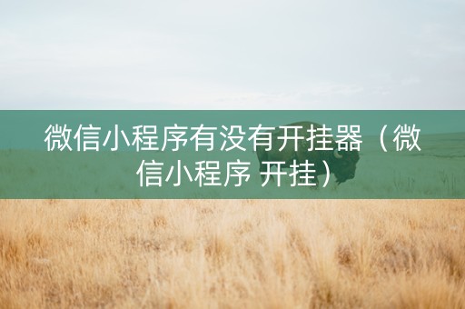 微信小程序有没有开挂器（微信小程序 开挂）