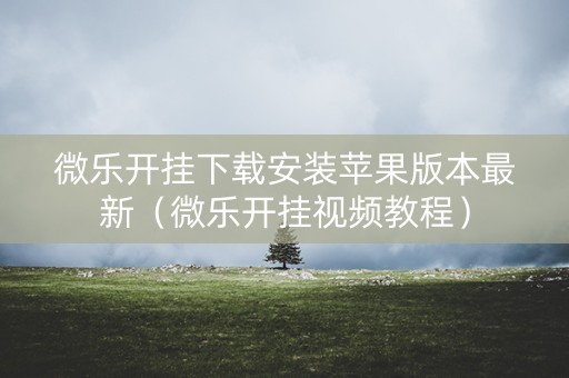 微乐开挂下载安装苹果版本最新（微乐开挂视频教程）