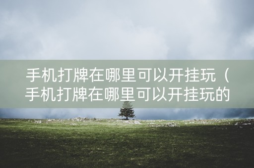 手机打牌在哪里可以开挂玩（手机打牌在哪里可以开挂玩的）