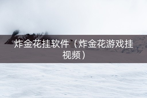 炸金花挂软件（炸金花游戏挂视频）
