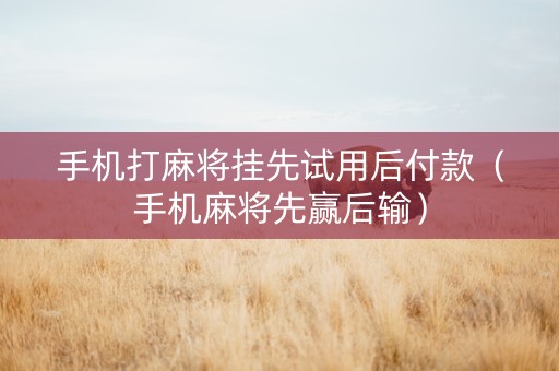 手机打麻将挂先试用后付款（手机麻将先赢后输）