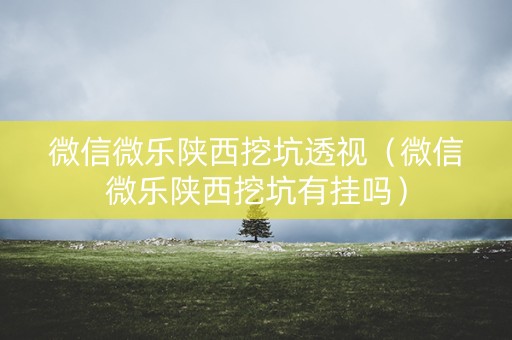 微信微乐陕西挖坑透视（微信微乐陕西挖坑有挂吗）