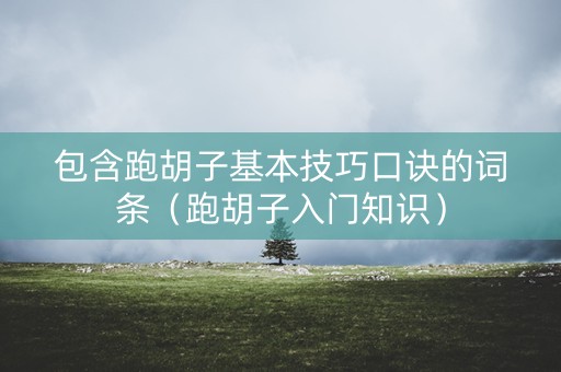 包含跑胡子基本技巧口诀的词条（跑胡子入门知识）