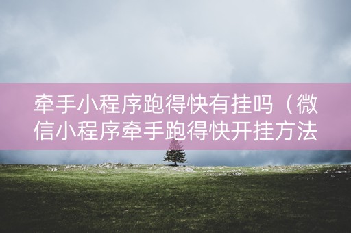 牵手小程序跑得快有挂吗（微信小程序牵手跑得快开挂方法）