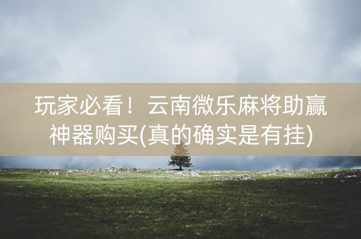 玩家必看！云南微乐麻将助赢神器购买(真的确实是有挂)