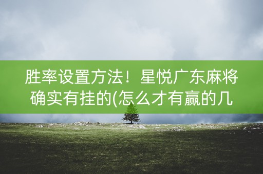 胜率设置方法！星悦广东麻将确实有挂的(怎么才有赢的几率)