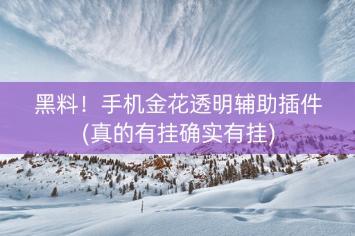 黑料！手机金花透明辅助插件(真的有挂确实有挂)