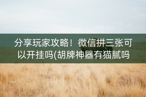 分享玩家攻略！微信拼三张可以开挂吗(胡牌神器有猫腻吗)