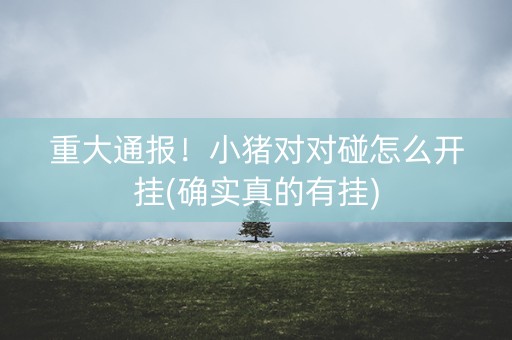 重大通报！小猪对对碰怎么开挂(确实真的有挂)