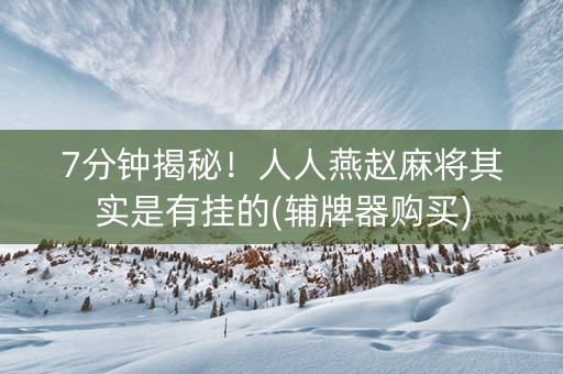 7分钟揭秘！人人燕赵麻将其实是有挂的(辅牌器购买)