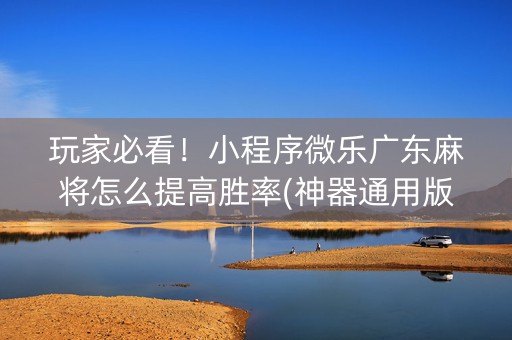 玩家必看！小程序微乐广东麻将怎么提高胜率(神器通用版)