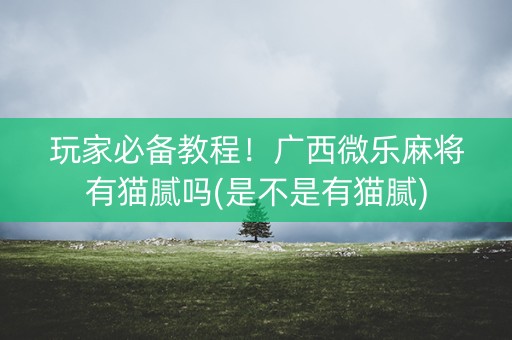 玩家必备教程！广西微乐麻将有猫腻吗(是不是有猫腻)