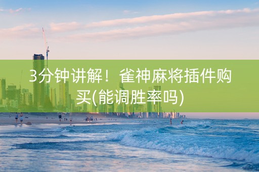 3分钟讲解！雀神麻将插件购买(能调胜率吗)