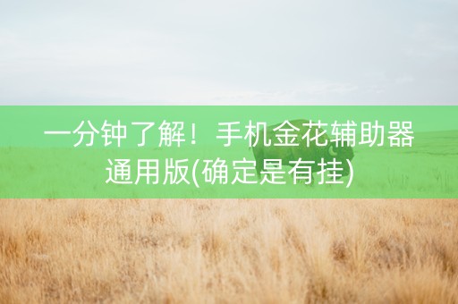 一分钟了解！手机金花辅助器通用版(确定是有挂)