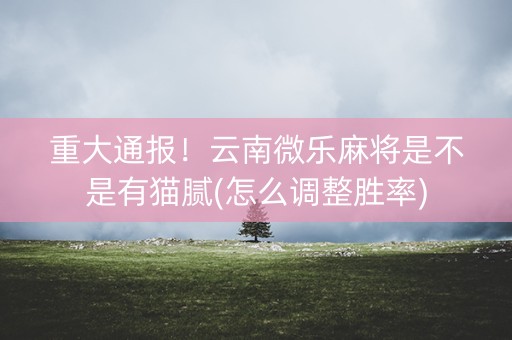 重大通报！云南微乐麻将是不是有猫腻(怎么调整胜率)